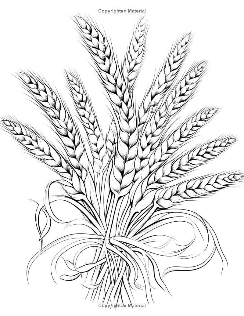 Sample coloring page 1