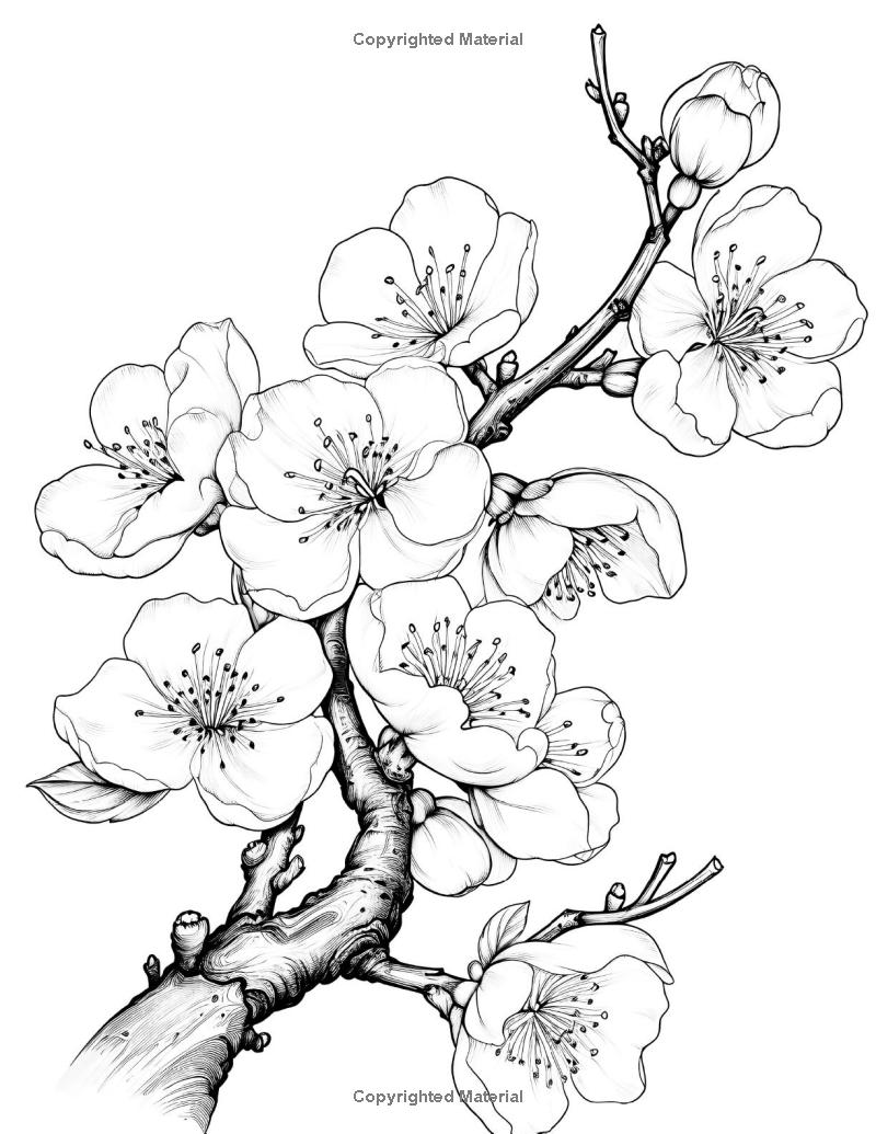 Sample coloring page 2